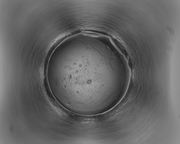 X0000113960438200909251404