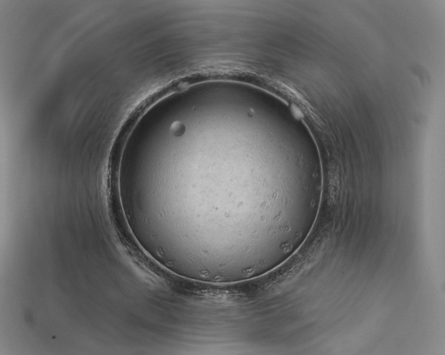 X0000113960439200909251404