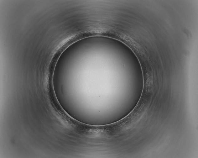 X0000113960440200909251404