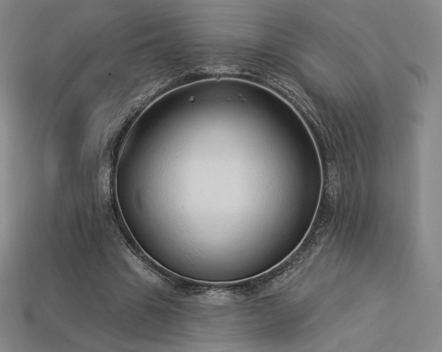 X0000113960441200909251404