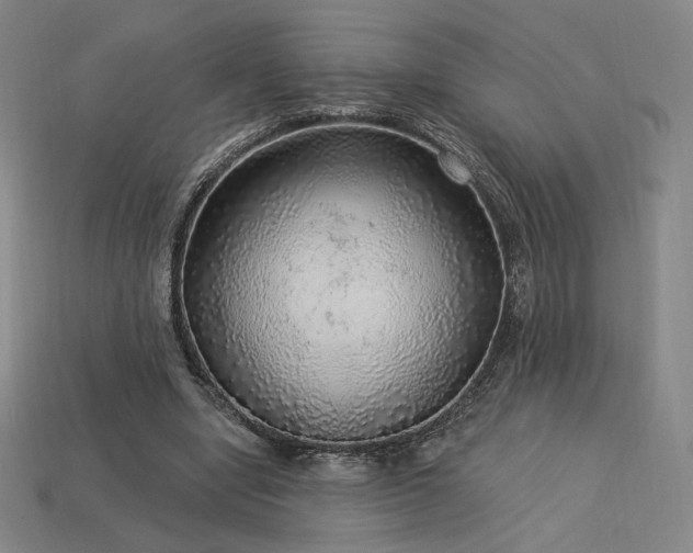 X0000113960442200909251404