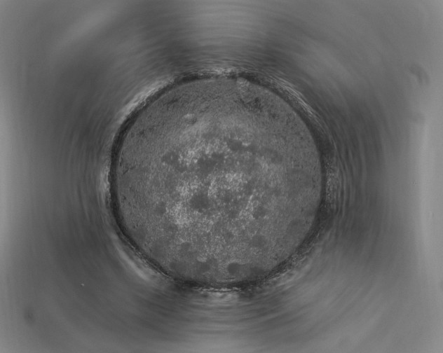 X0000113960443200909251404