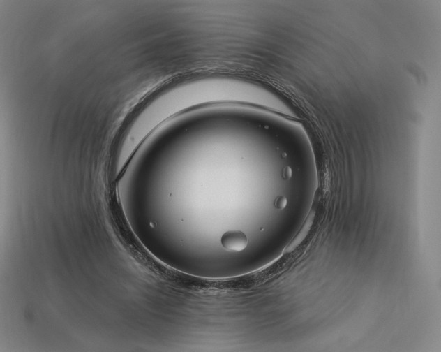 X0000113960444200909251404