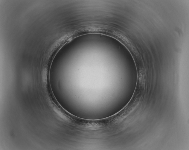 X0000113960445200909251404