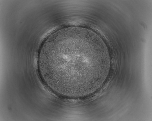 X0000113960446200909251404