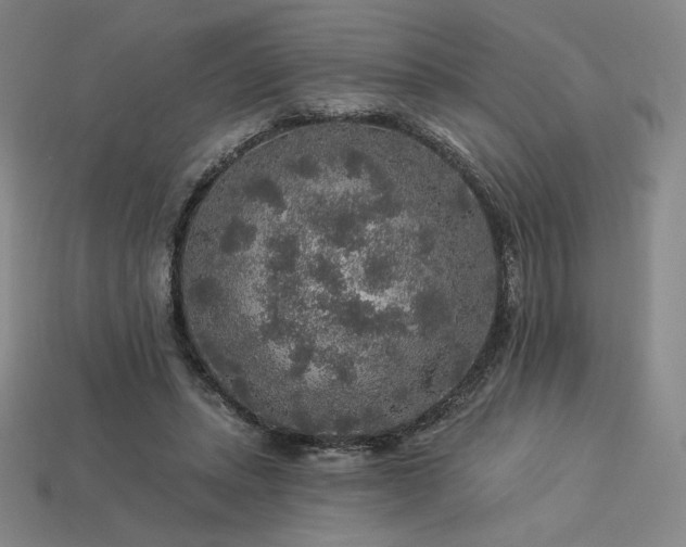 X0000113960447200909251404