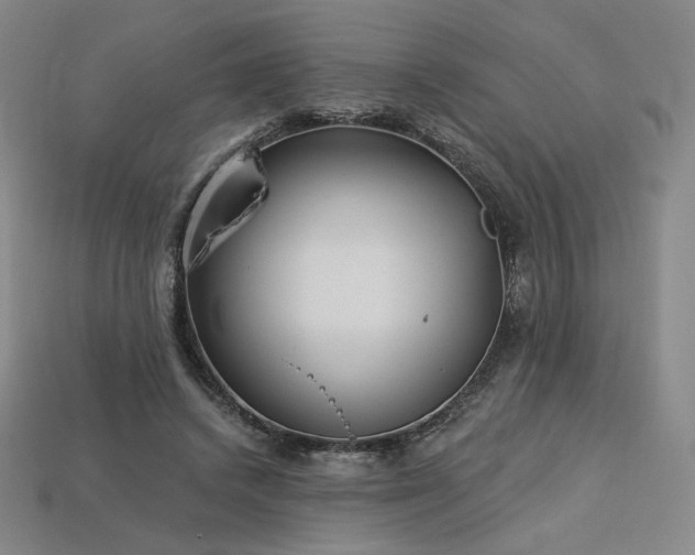 X0000113960448200909251404