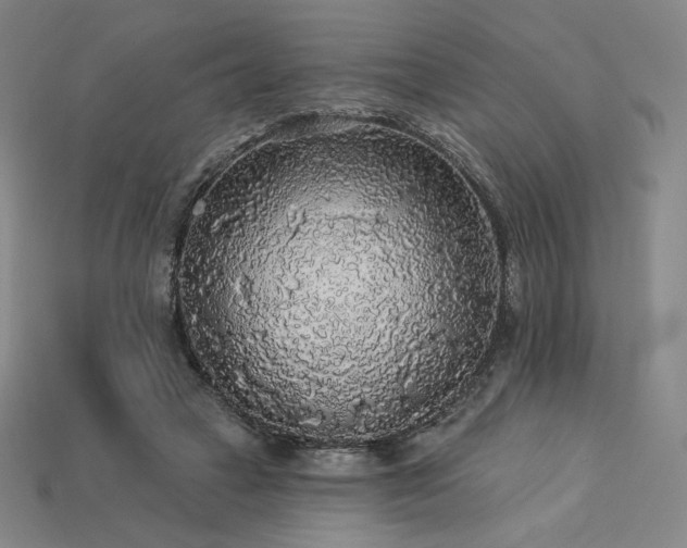 X0000113960449200909251404