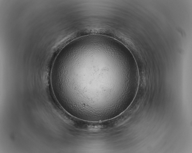 X0000113960450200909251404