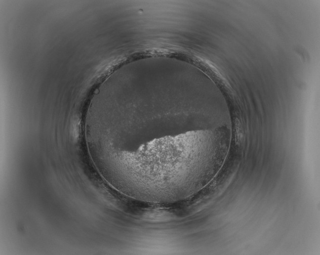 X0000113960451200909251404