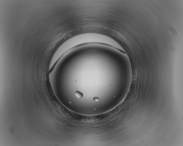 X0000113960452200909251404