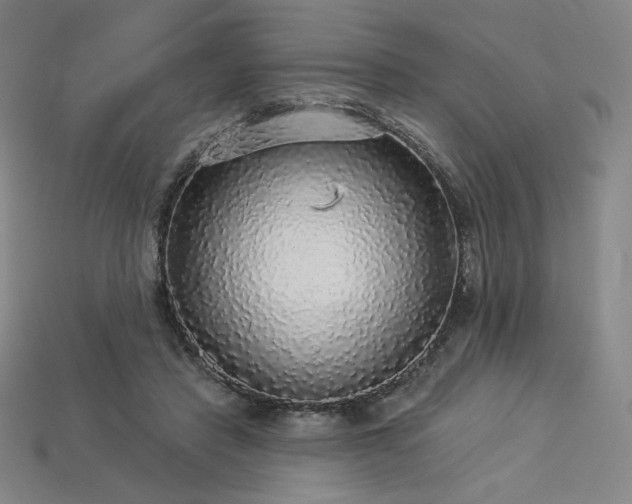 X0000113960453200909251404