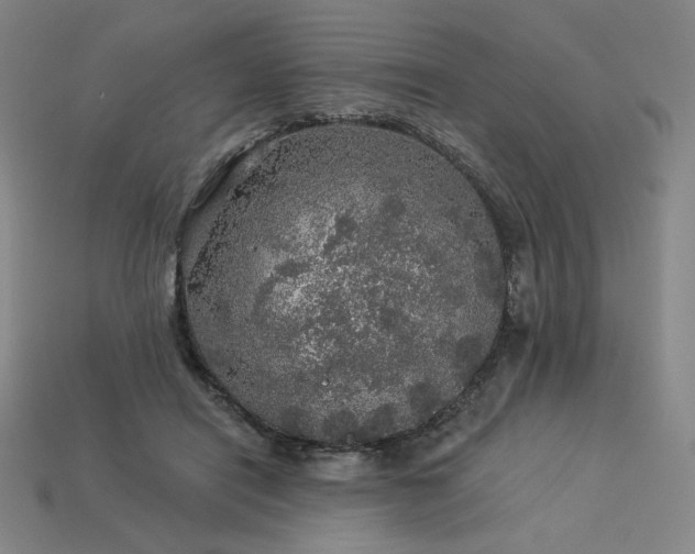 X0000113960454200909251404