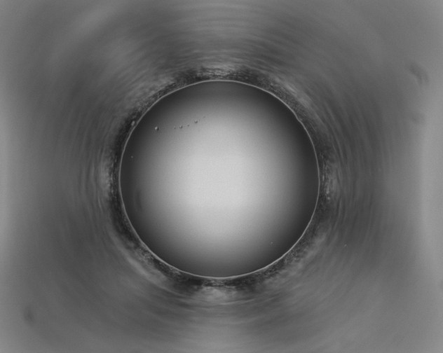 X0000113960455200909251404