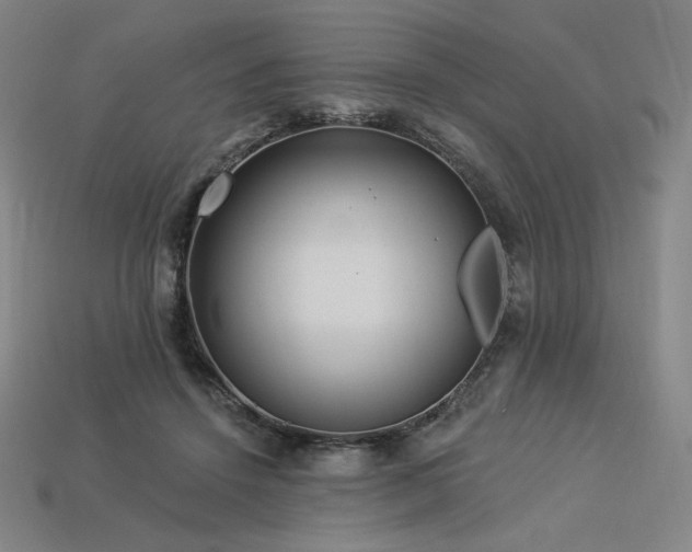 X0000113960456200909251404