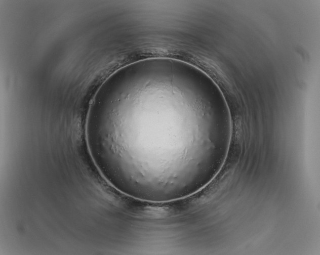 X0000113960457200909251404