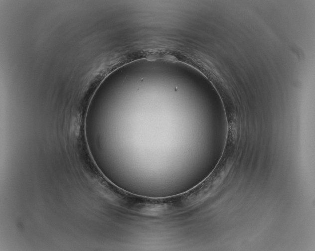 X0000113960458200909251404