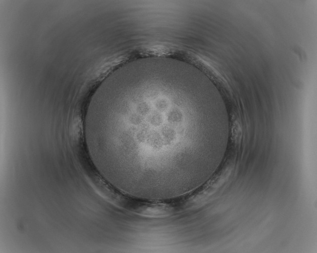 X0000113960459200909251404