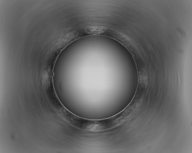 X0000113960460200909251404