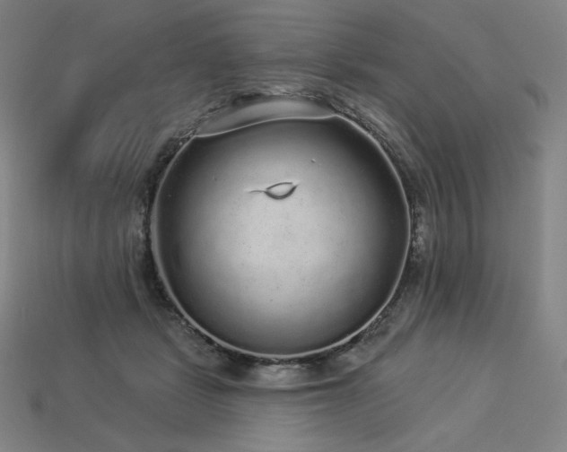 X0000113960461200909251404