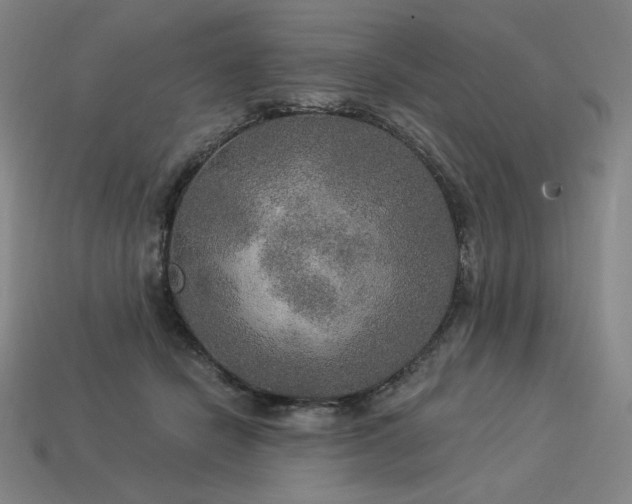 X0000113960462200909251404