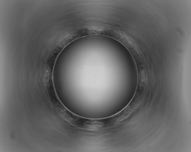 X0000113960463200909251404