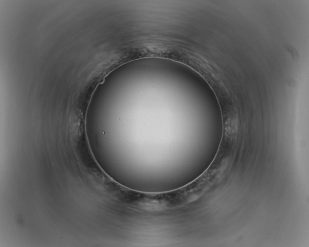 X0000113960464200909251404