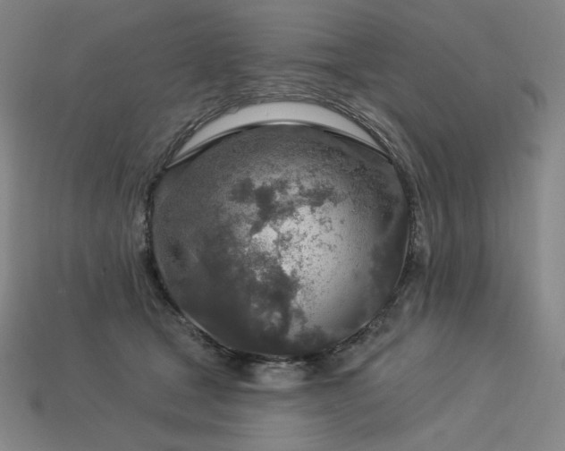 X0000113960465200909251404