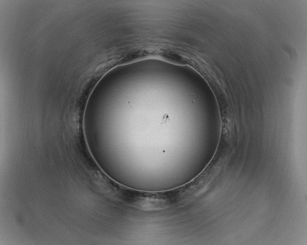 X0000113960466200909251404