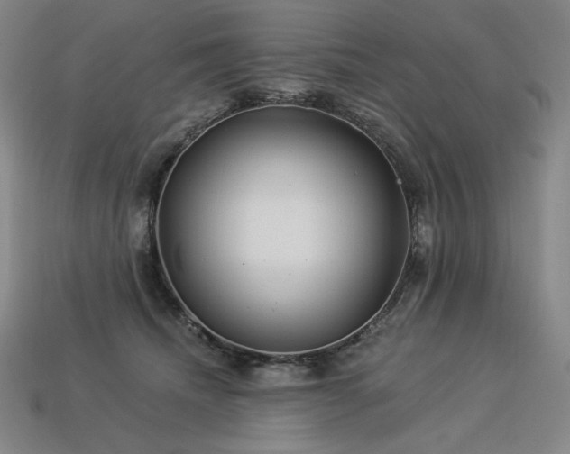 X0000113960468200909251404