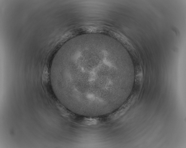 X0000113960469200909251404