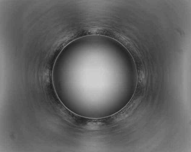 X0000113960470200909251404