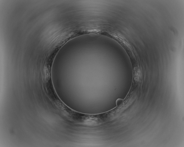 X0000113960471200909251404