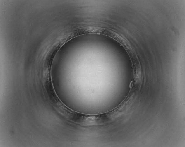 X0000113960473200909251404