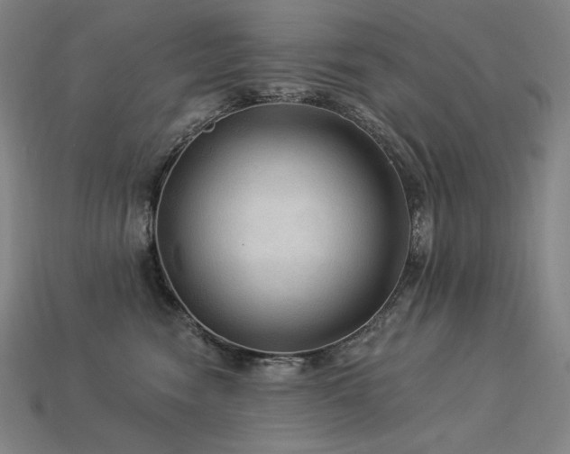 X0000113960474200909251404