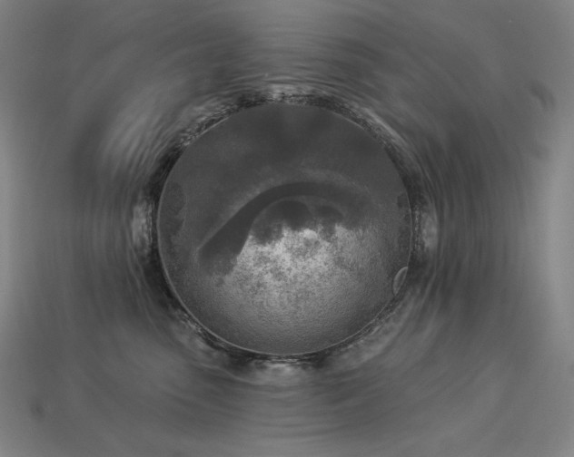 X0000113960475200909251404