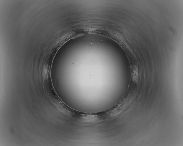 X0000113960476200909251404