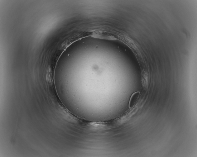 X0000113960477200909251404