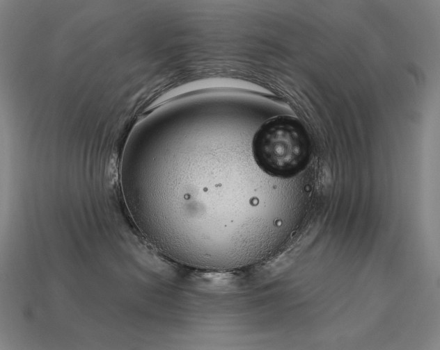 X0000113960478200909251404