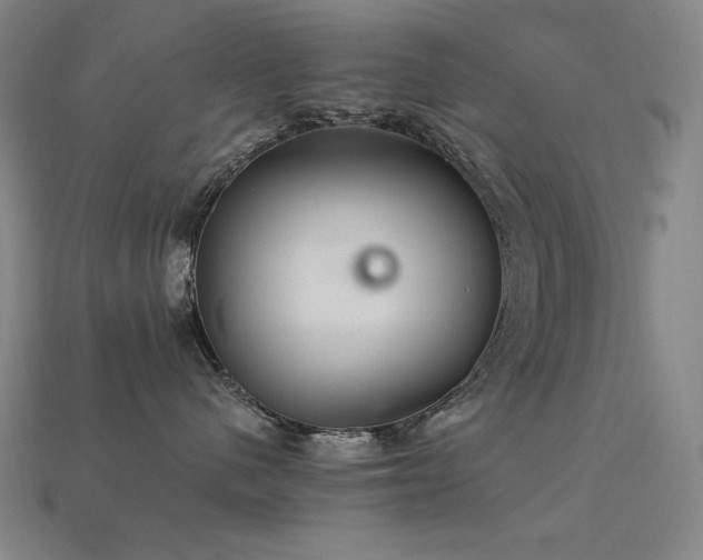 X0000113960480200909251404