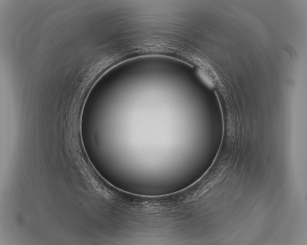 X0000113960481200909251404