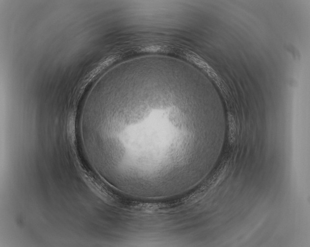 X0000113960482200909251404