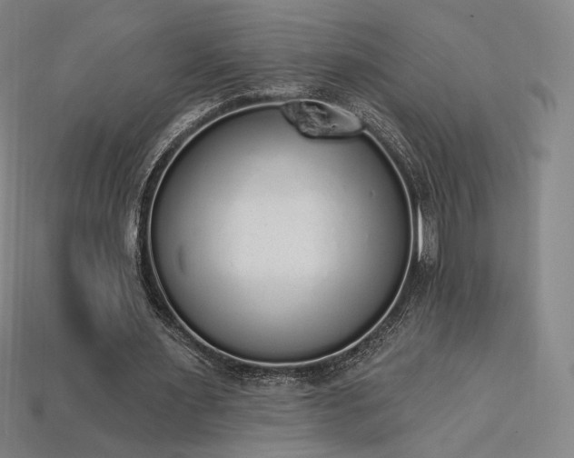 X0000113960483200909251404