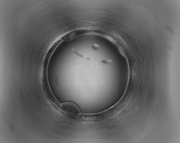 X0000113960484200909251403