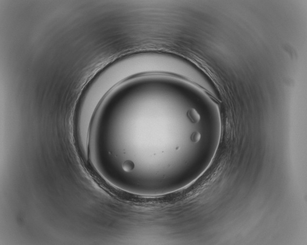 X0000113960485200909251403