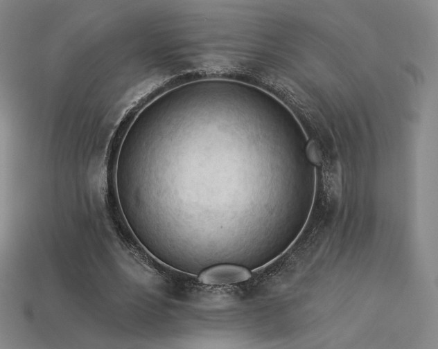 X0000113960488200909251403