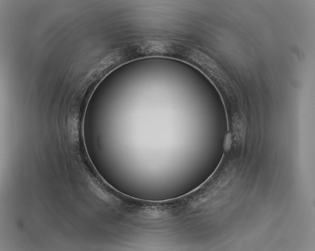 X0000113960489200909251403