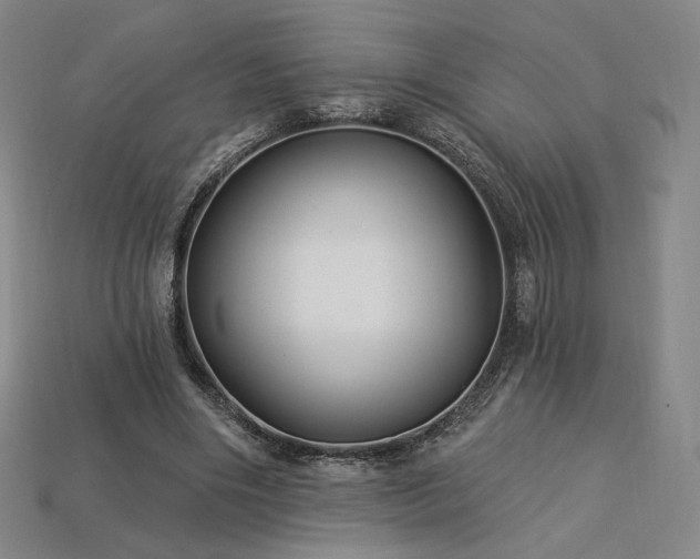 X0000113960490200909251403