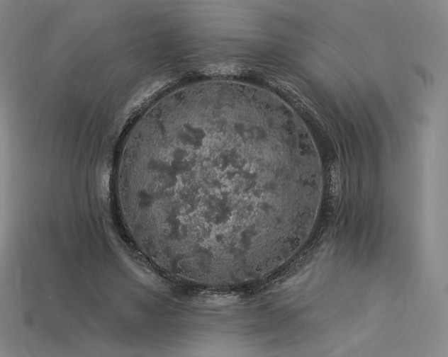 X0000113960491200909251403