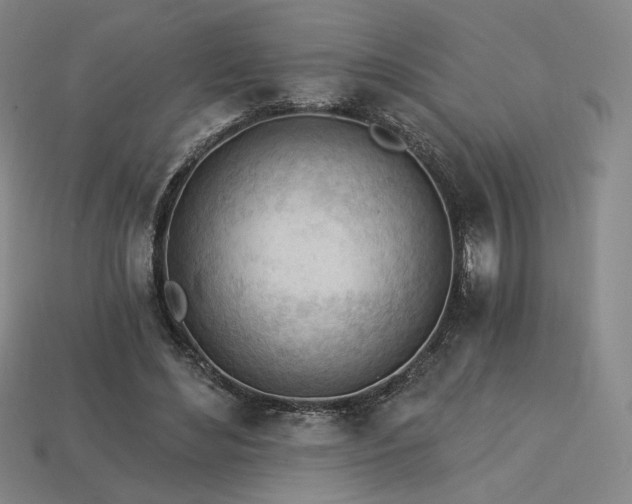 X0000113960492200909251403